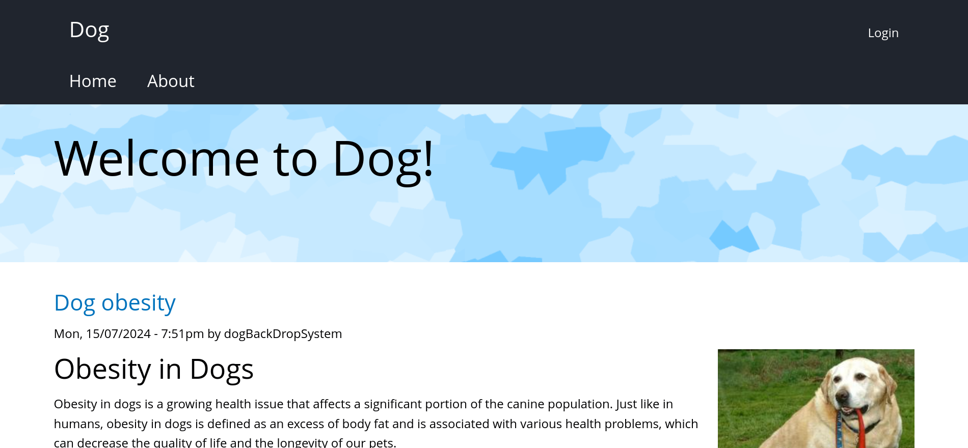 dog2